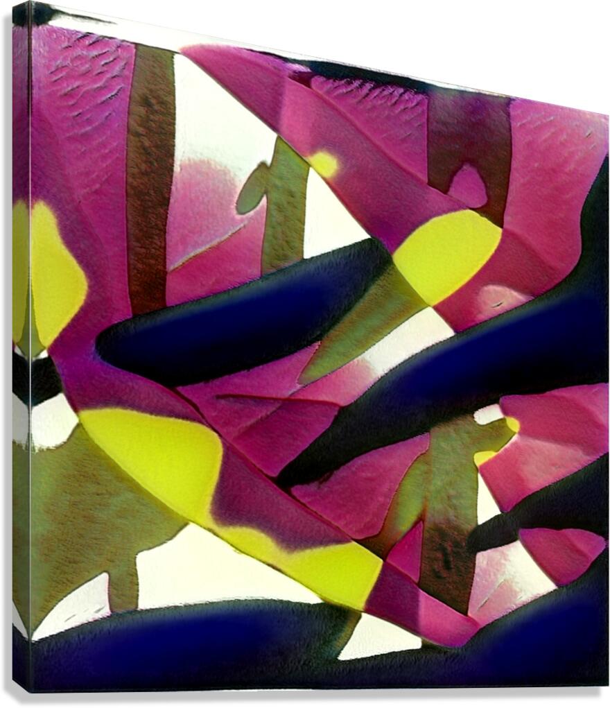 3020 8K Canvas Print