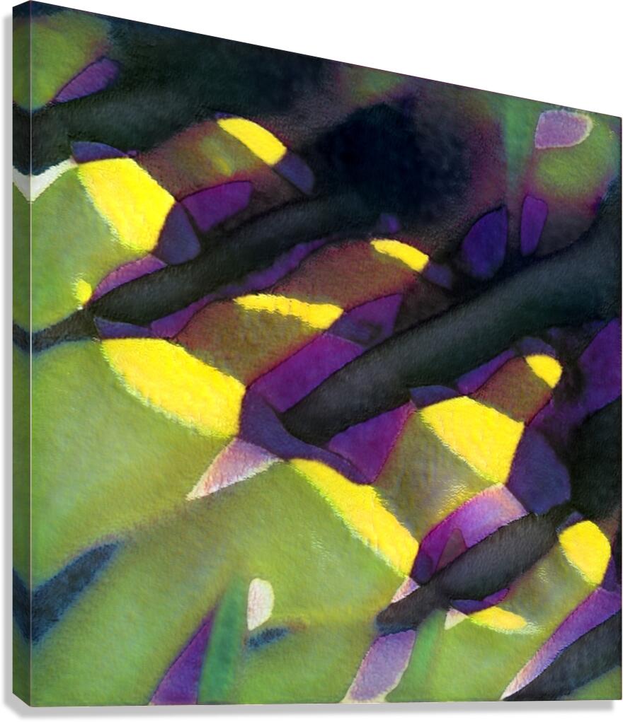 3054 8K Canvas Print