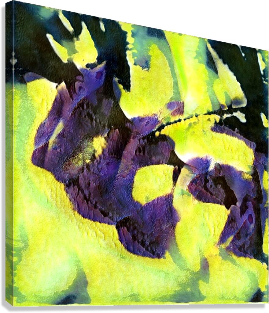 3080 8K Canvas Print