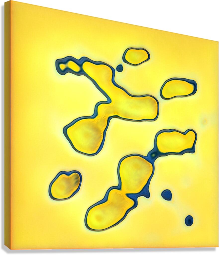 3044 8K Canvas Print