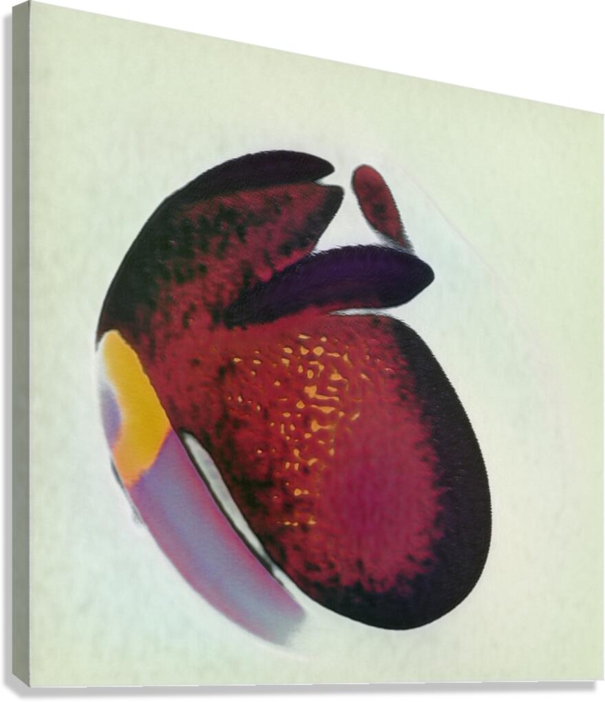 3093 8K Canvas Print