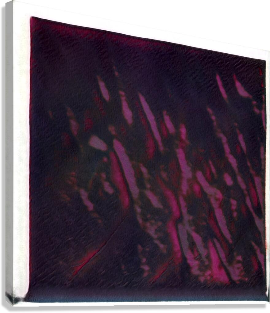 3089 8K Canvas Print