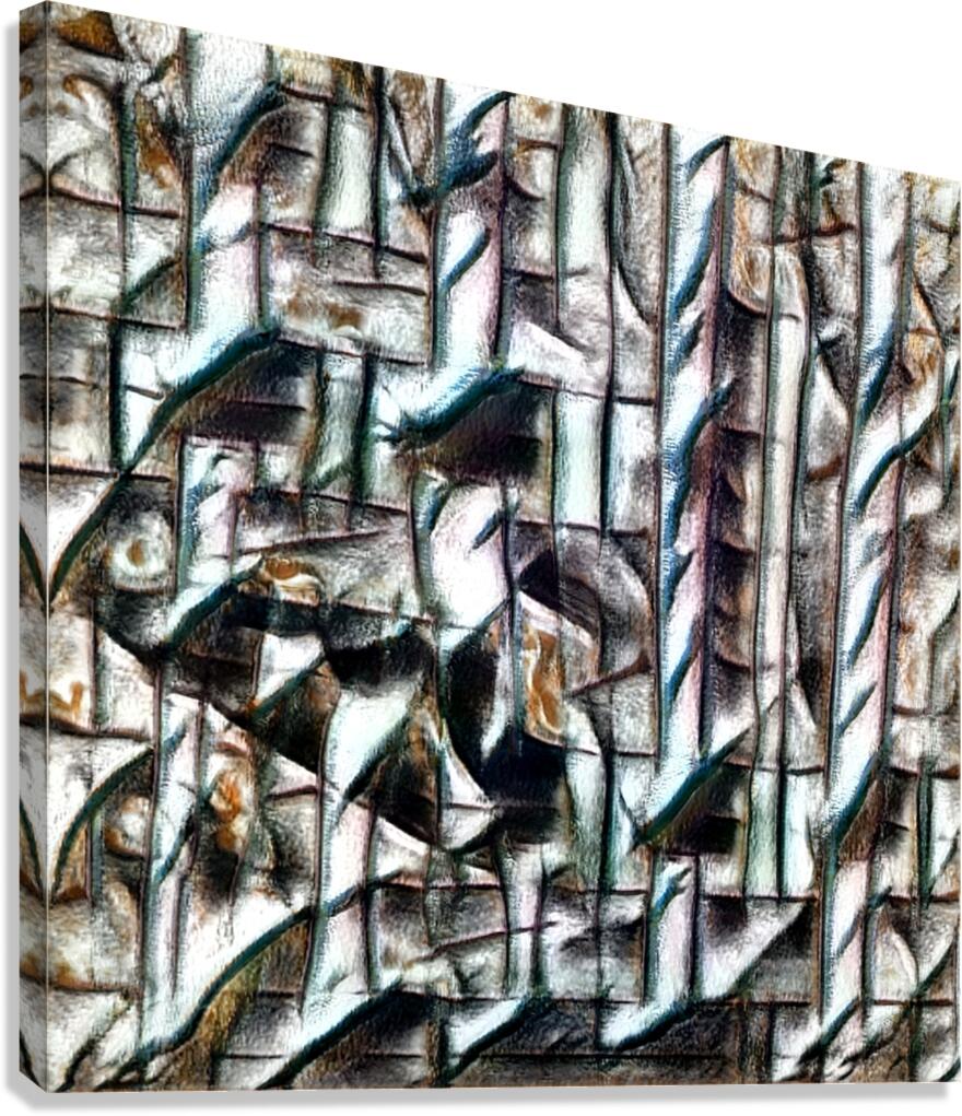 3117 8K Canvas Print