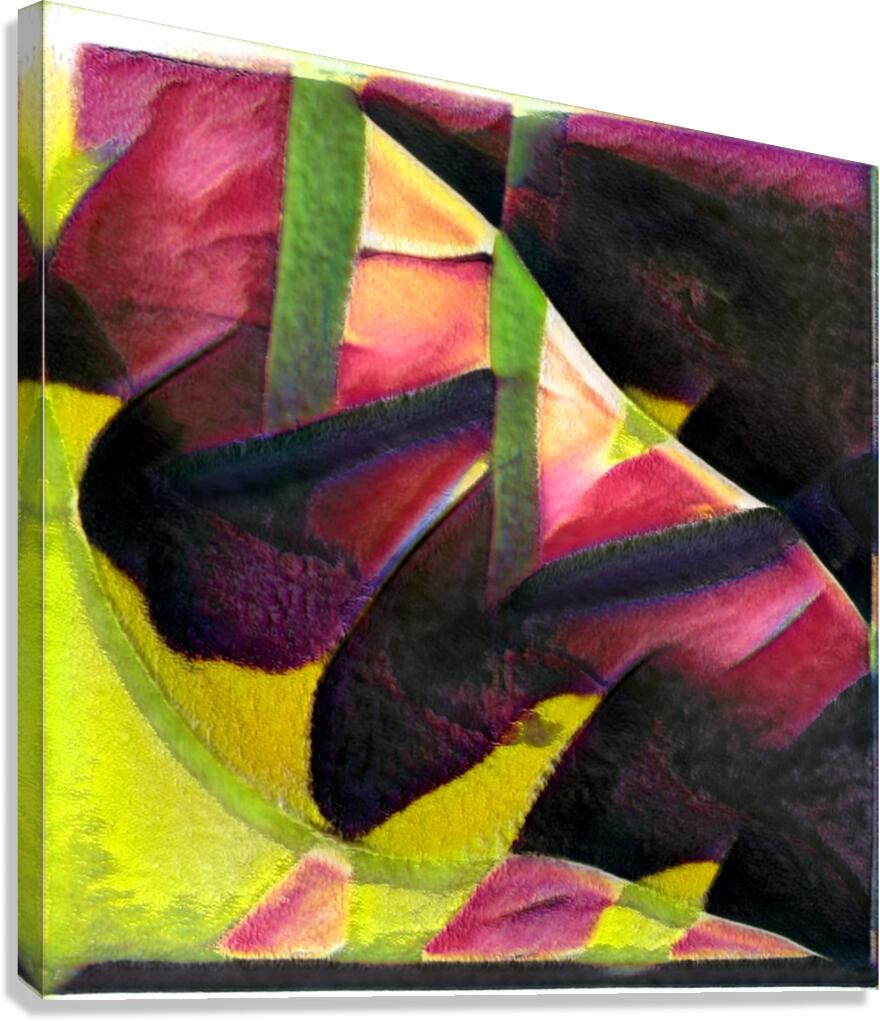 3111 8K Canvas Print