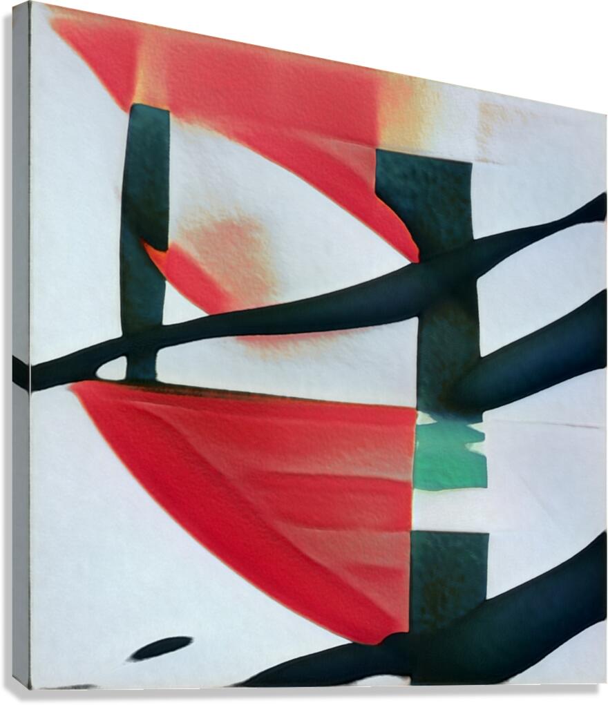 3127 8K Canvas Print