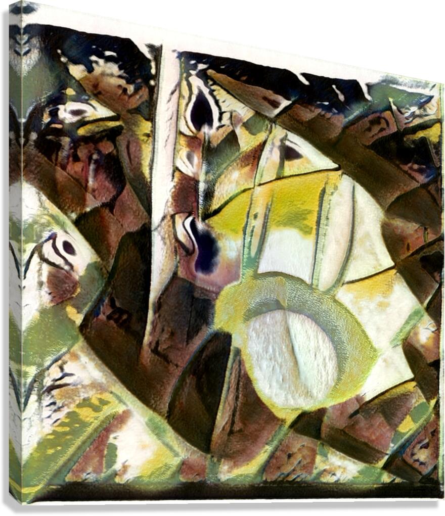 3134 8K Canvas Print