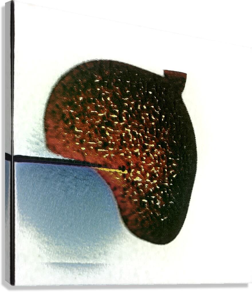 3123 8K Canvas Print