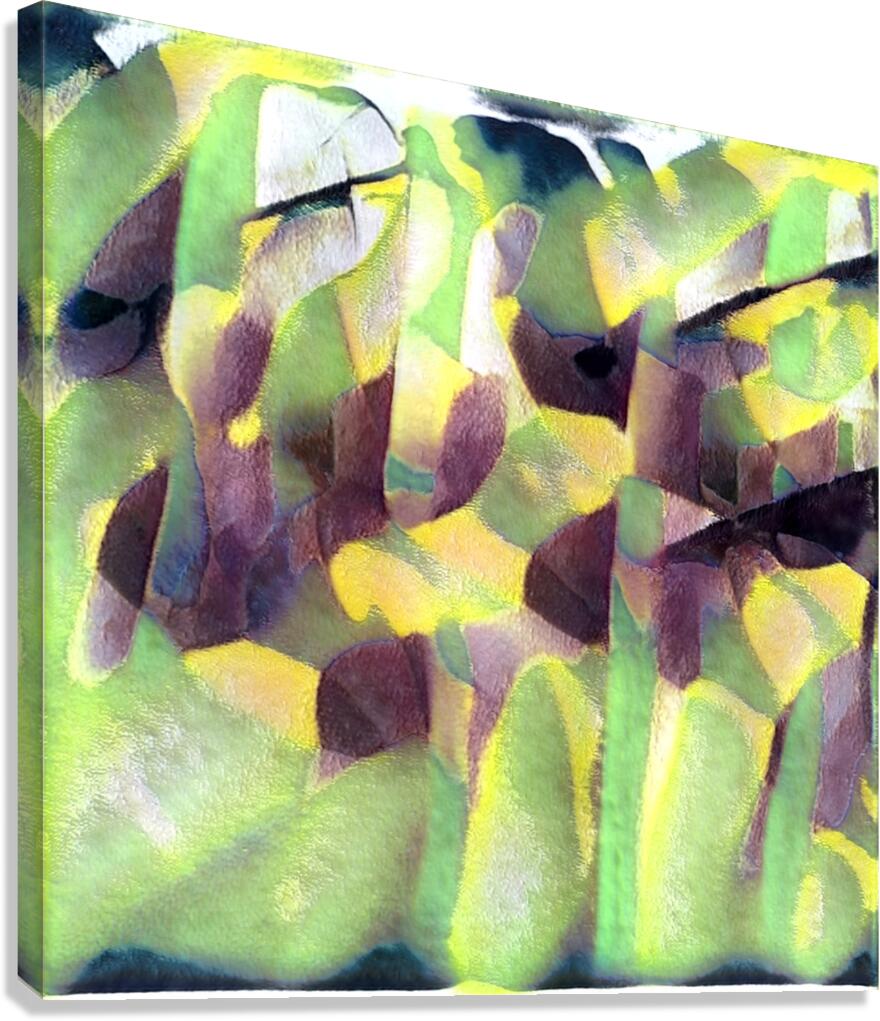 3128 8K Canvas Print