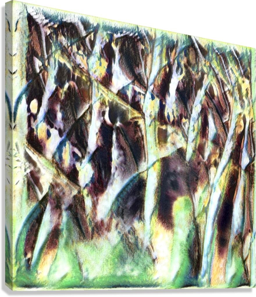 3200 8K Canvas Print