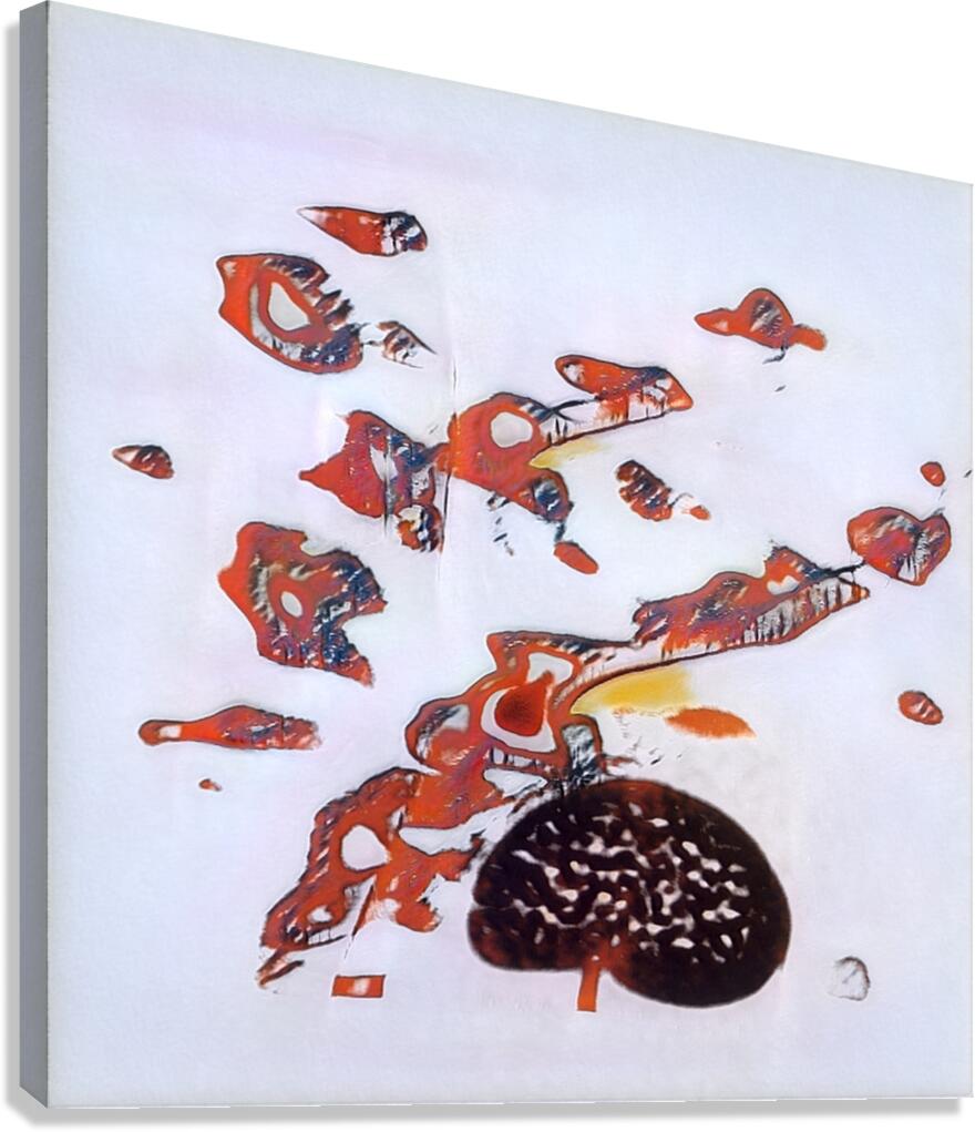 3223 8K Canvas Print