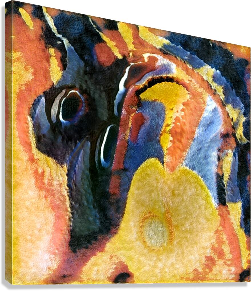 3269 8K Canvas Print