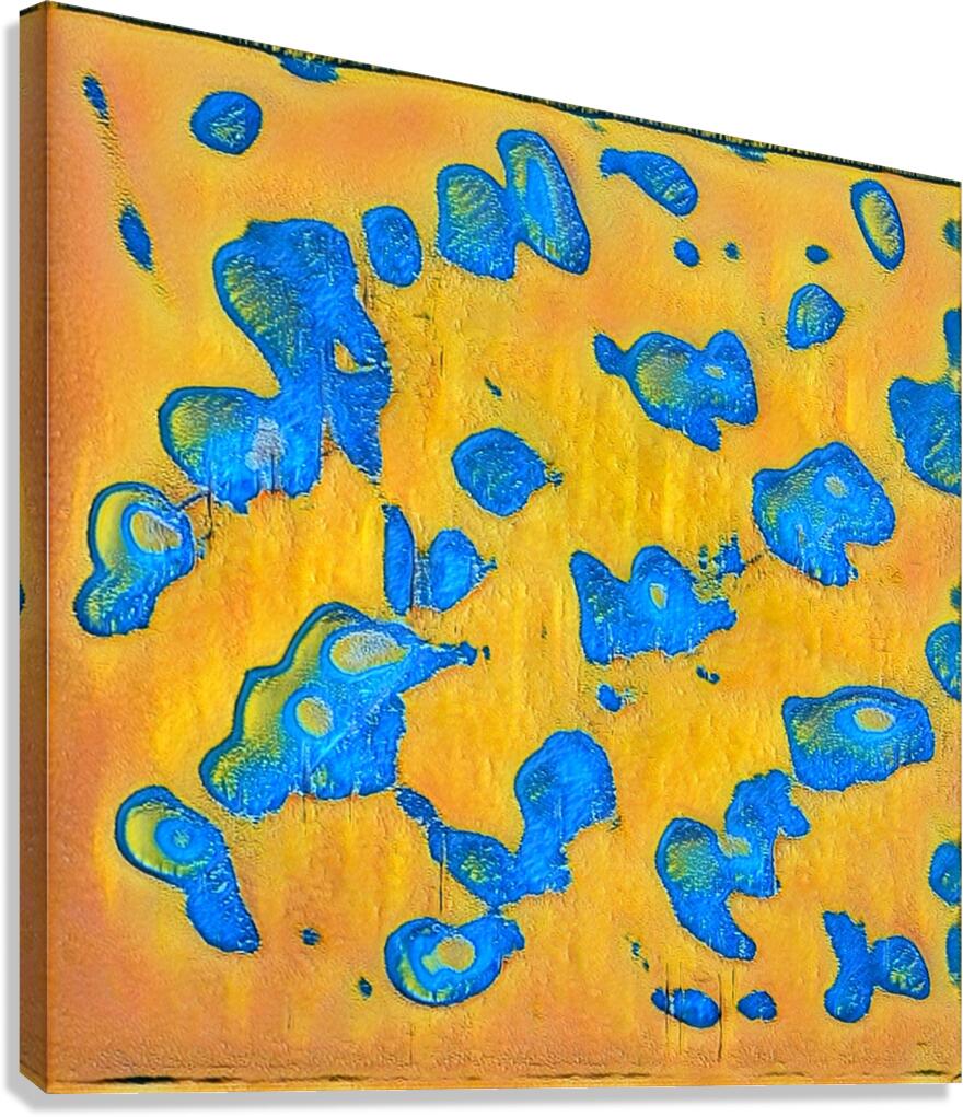 3265 8K Canvas Print