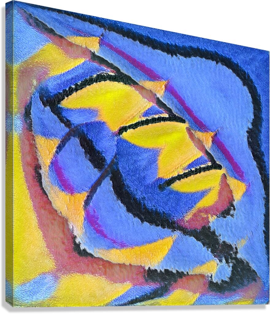 3334 8K Canvas Print