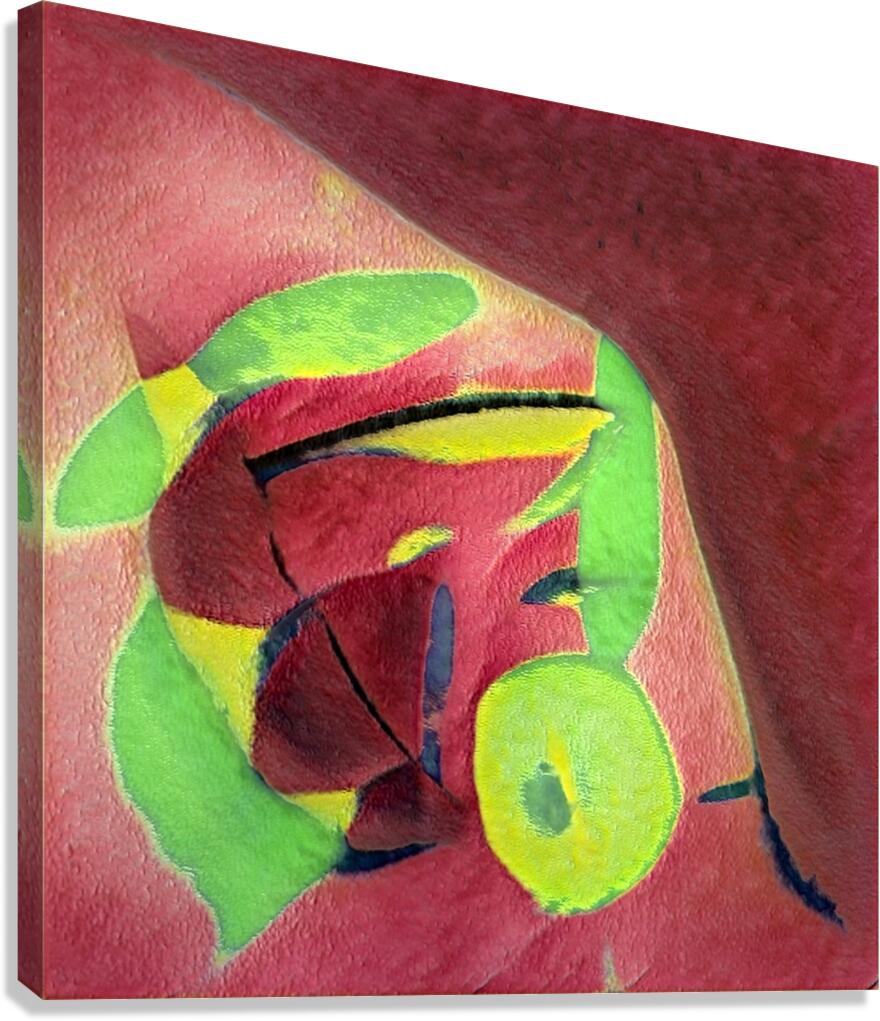 3350 8K Canvas Print