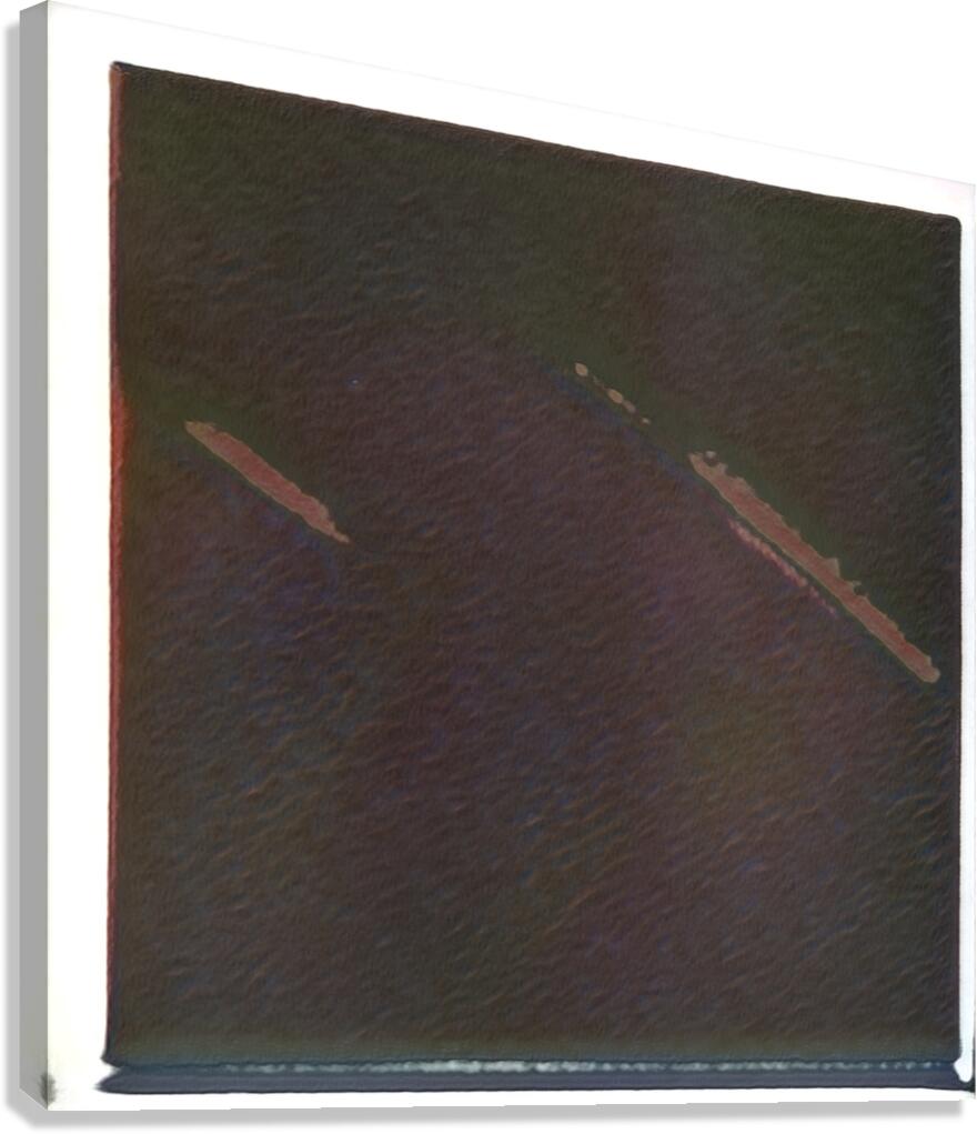 3369 8K Canvas Print