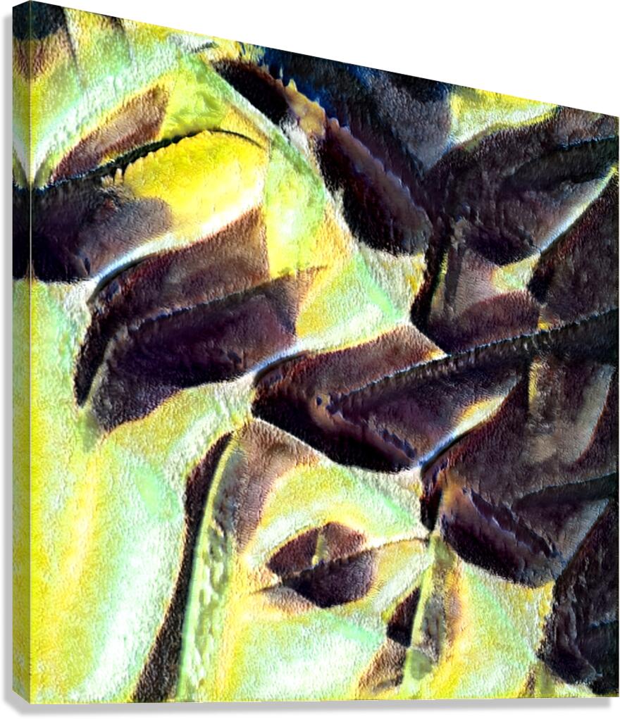 3390 8K Canvas Print