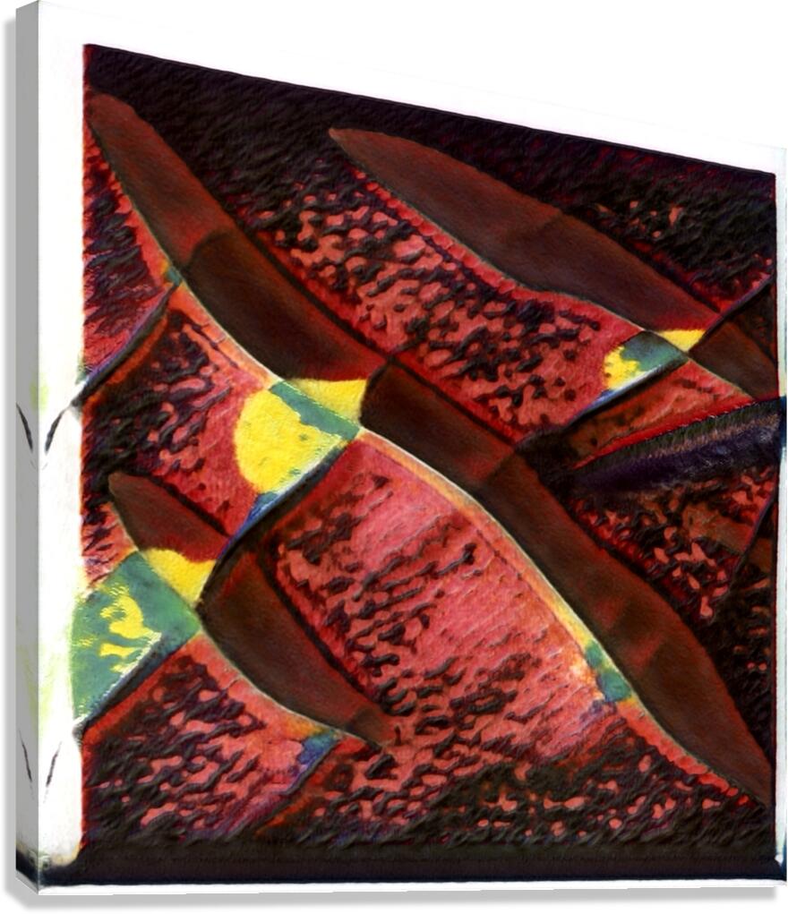 3449 8K Canvas Print