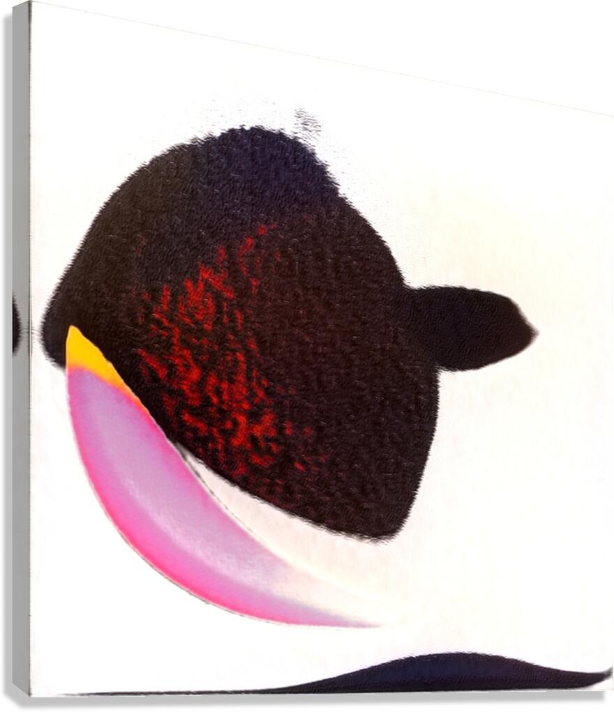 3506 8K Canvas Print