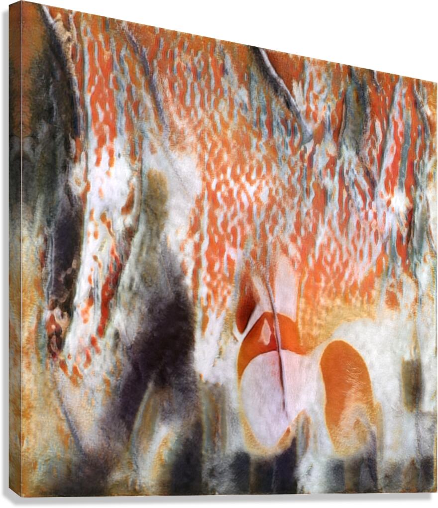 3428 8K Canvas Print