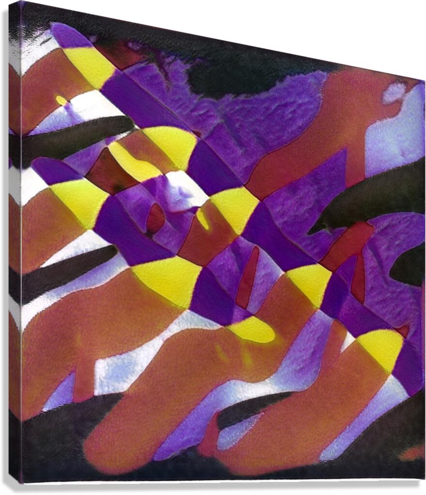 3569 8K Canvas Print