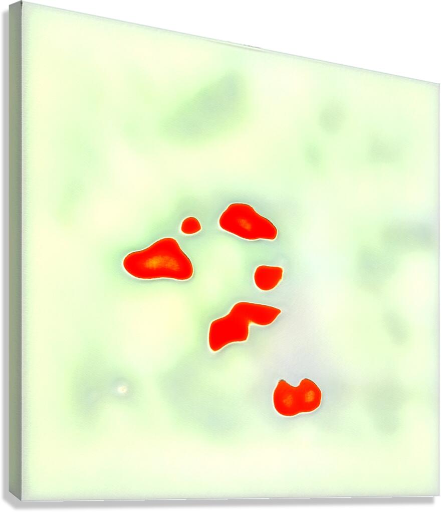 3634 8K Canvas Print