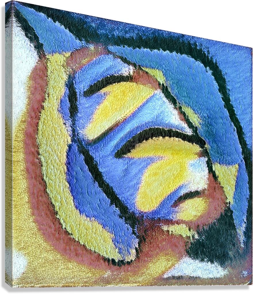 3623 8K Canvas Print