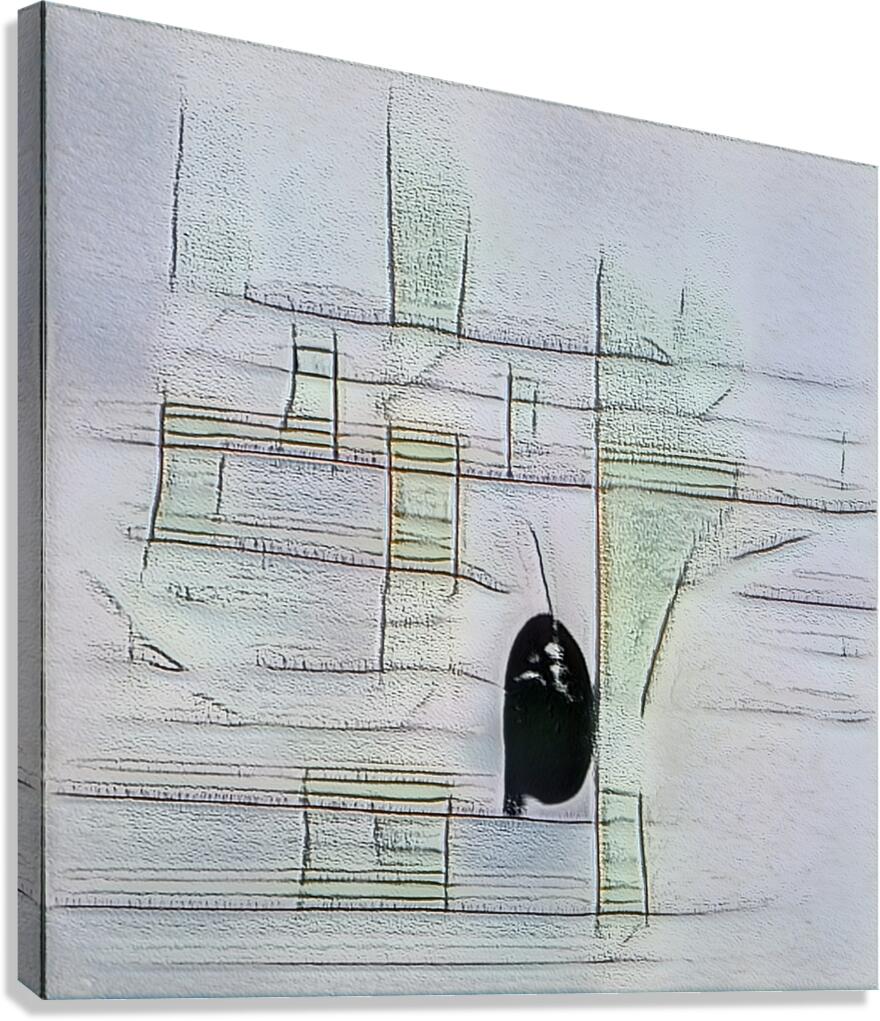 3720 8K Canvas Print