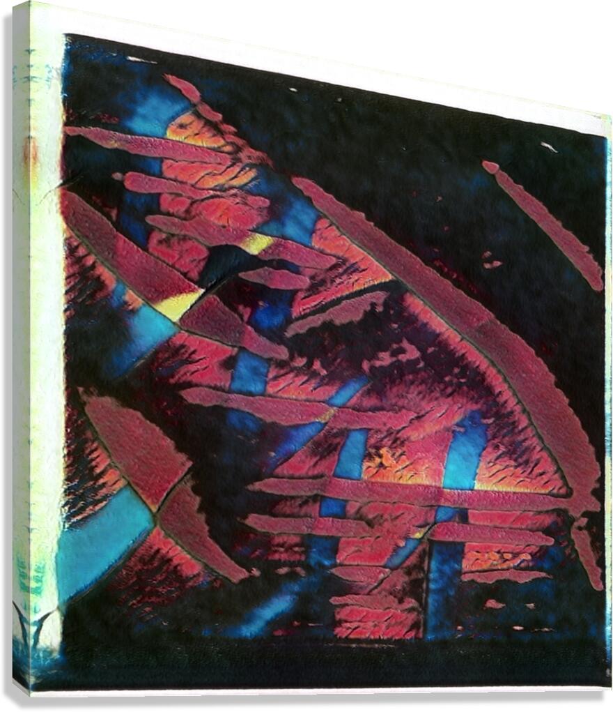 3736 8K Canvas Print