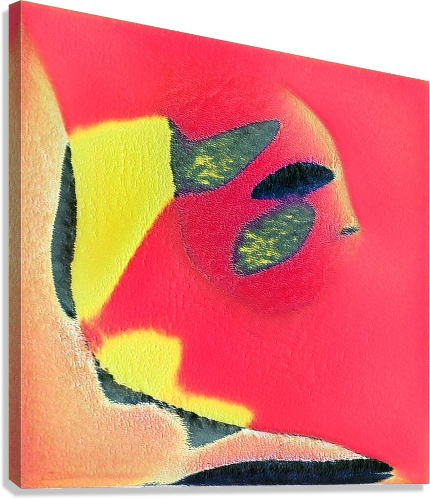 3787 8K Canvas Print