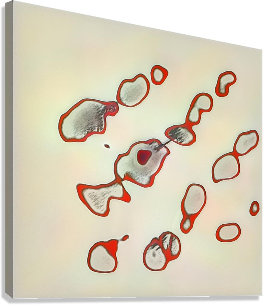 3778 8K Canvas Print