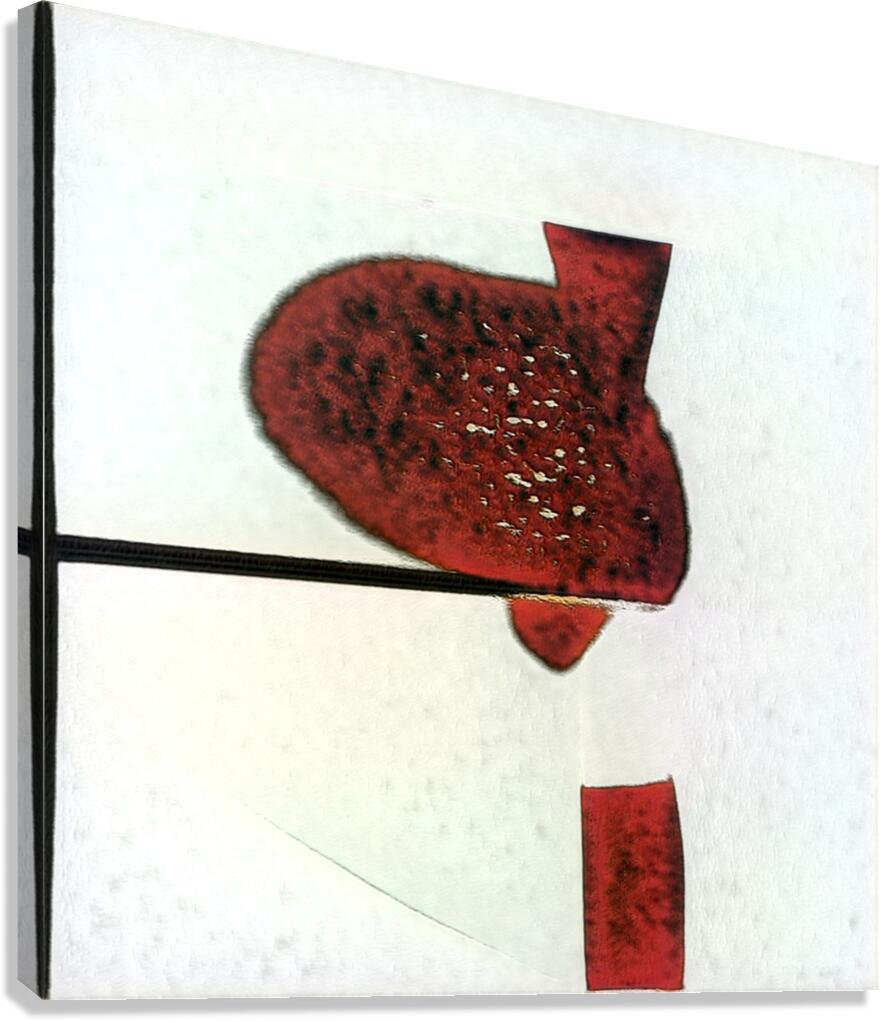 3775 8K Canvas Print