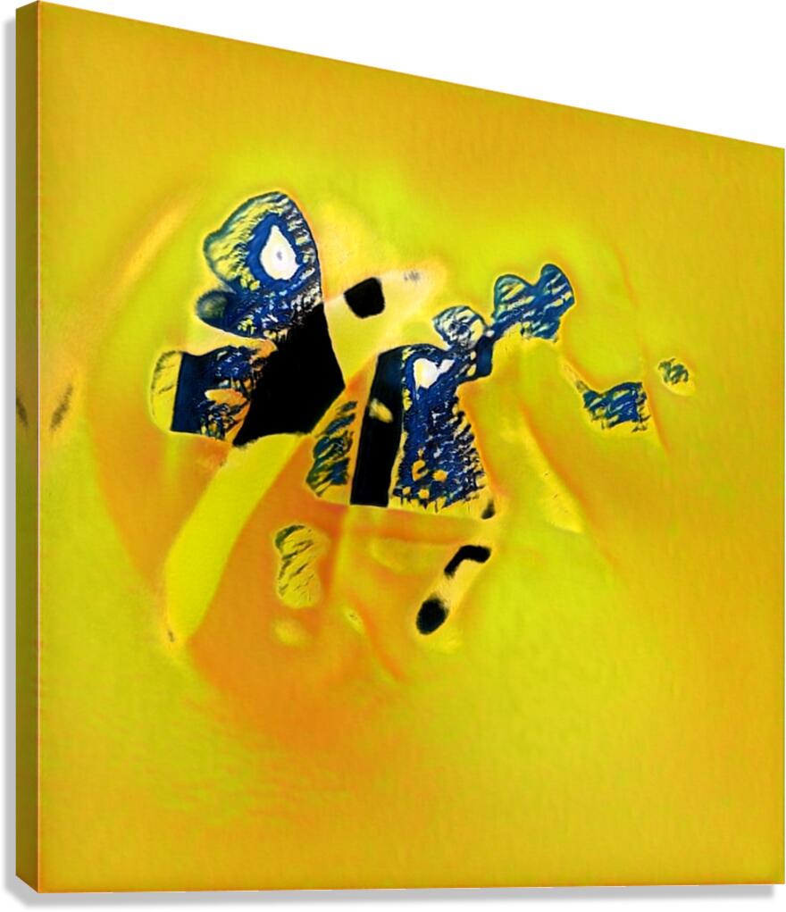 3795 8K Canvas Print