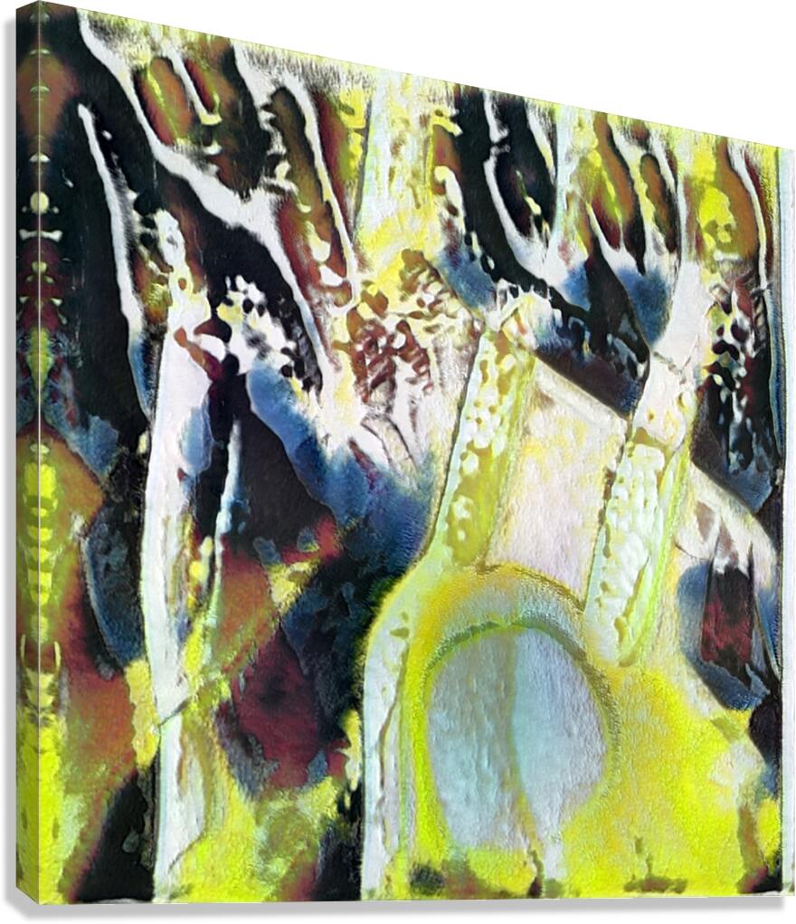 3780 8K Canvas Print