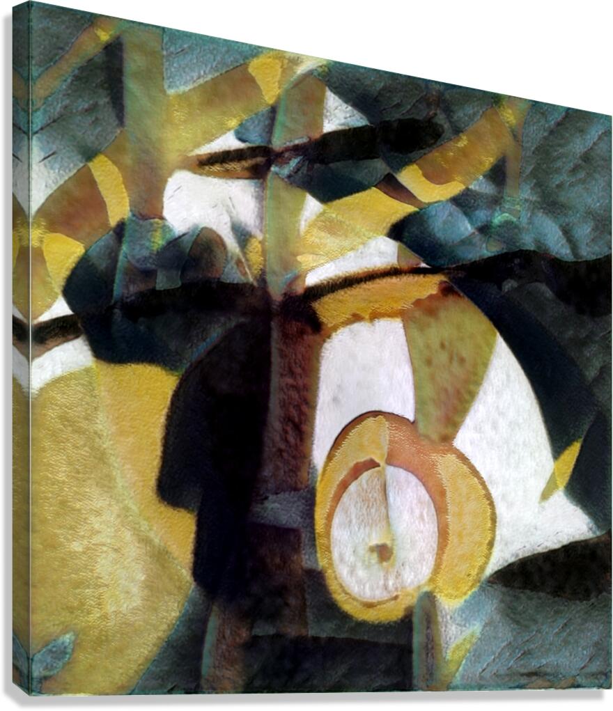 3830 8K Canvas Print