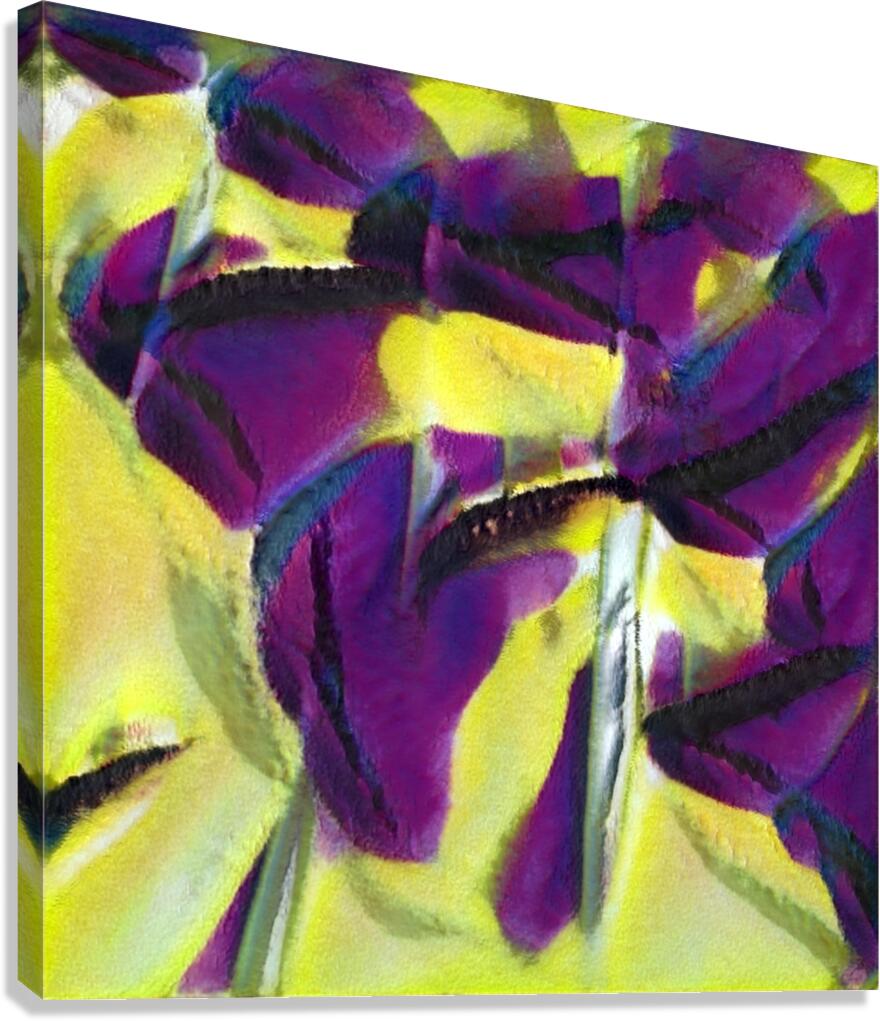 3816 8K Canvas Print