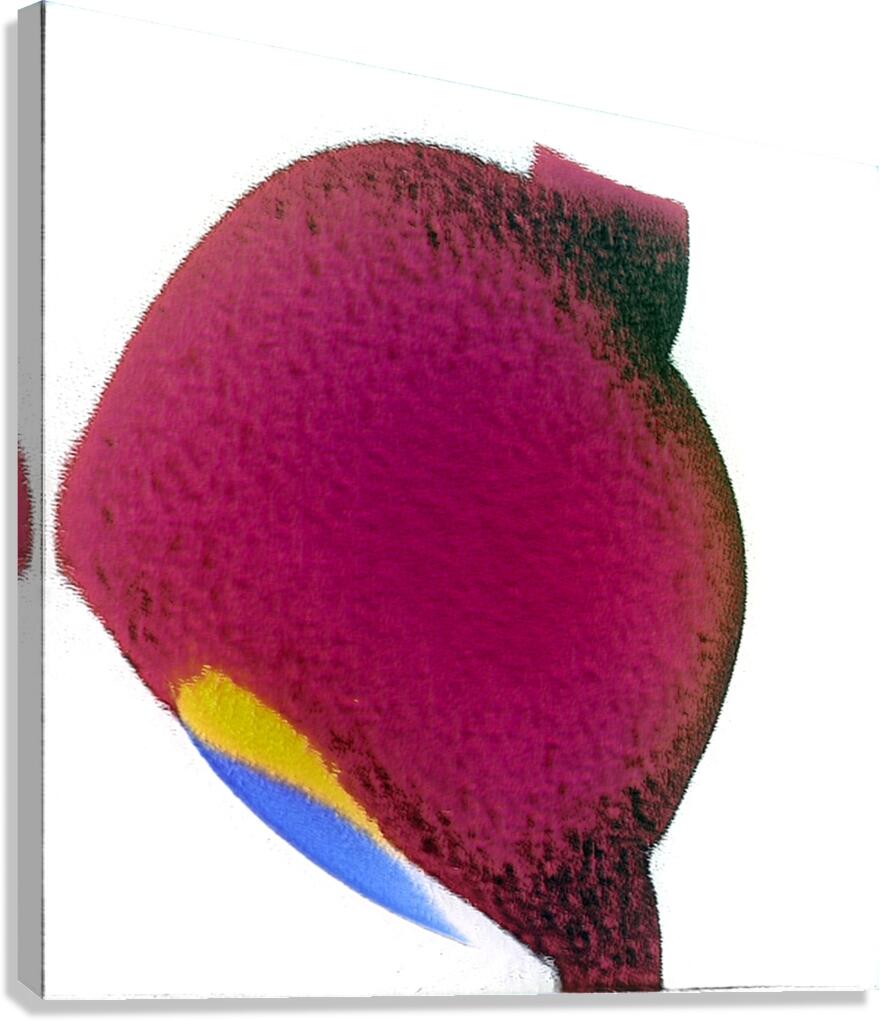 3802 8K Canvas Print