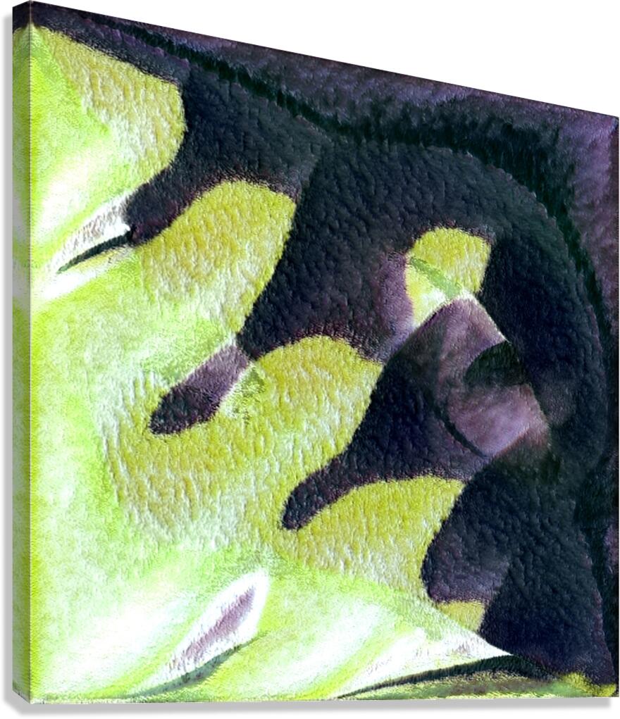 3844 8K Canvas Print