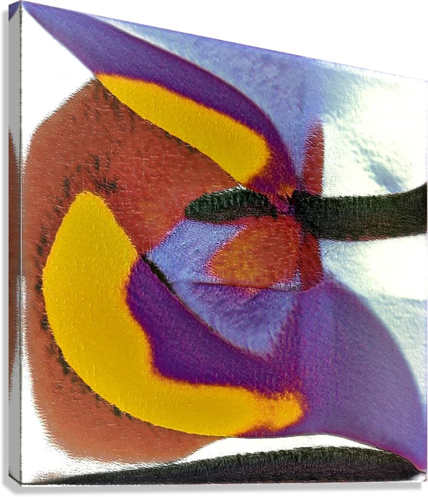 3845 8K Canvas Print