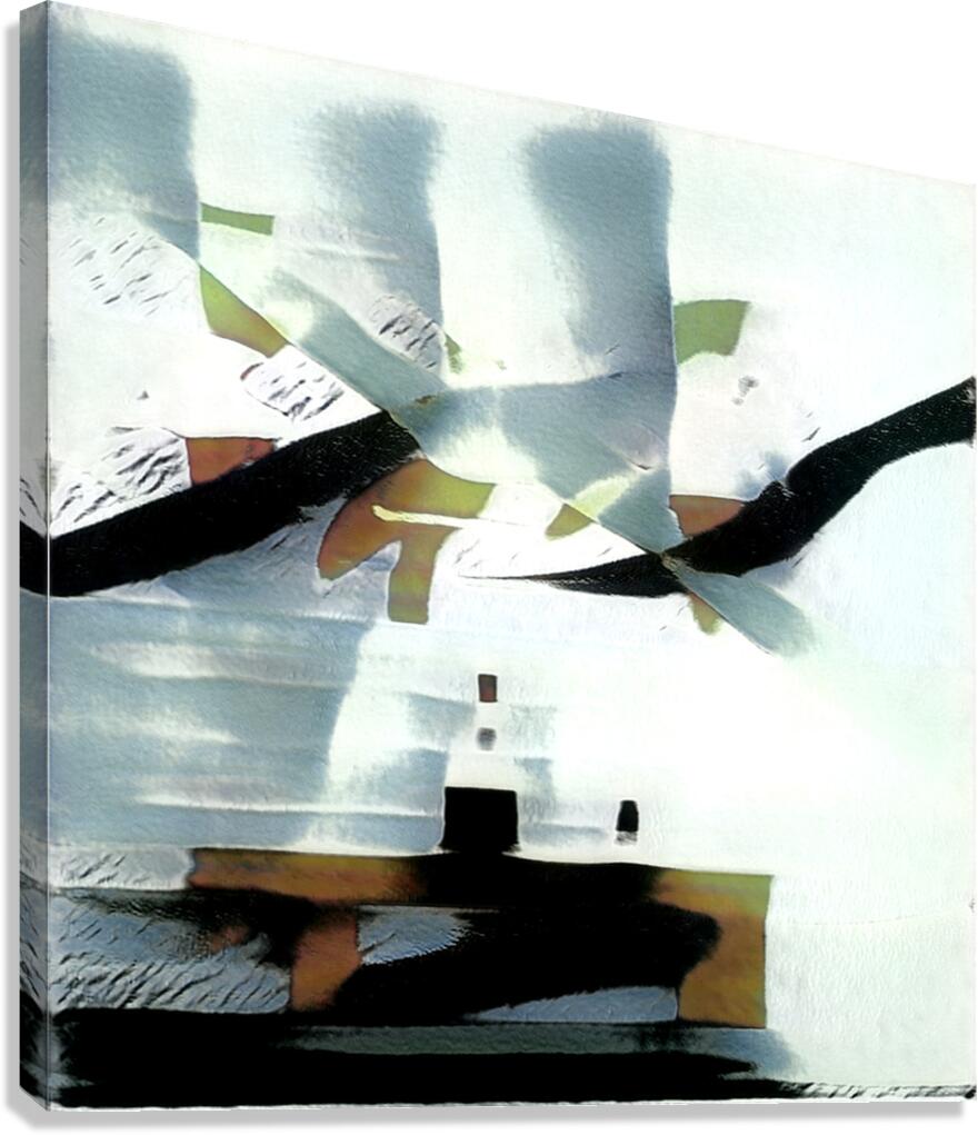 3896 8K Canvas Print