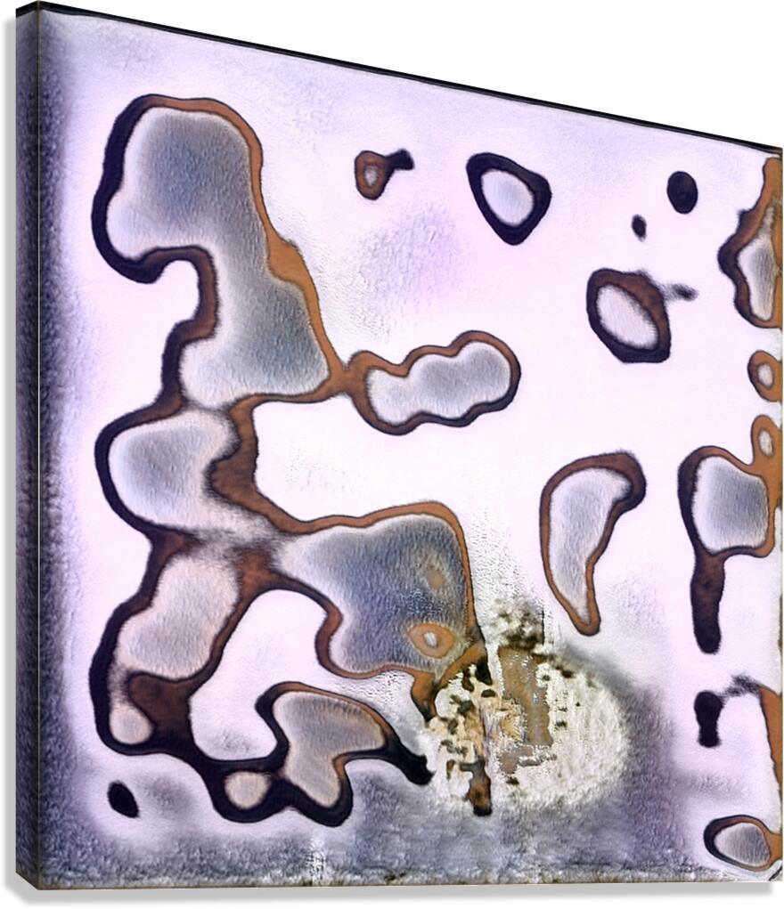 3891 8K Canvas Print