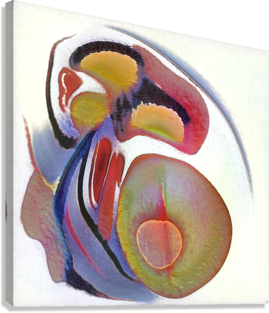 3895 8K Canvas Print