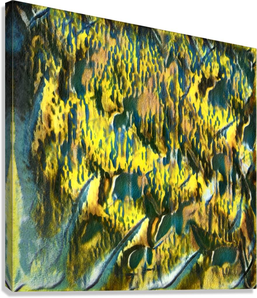 3999 8K Canvas Print