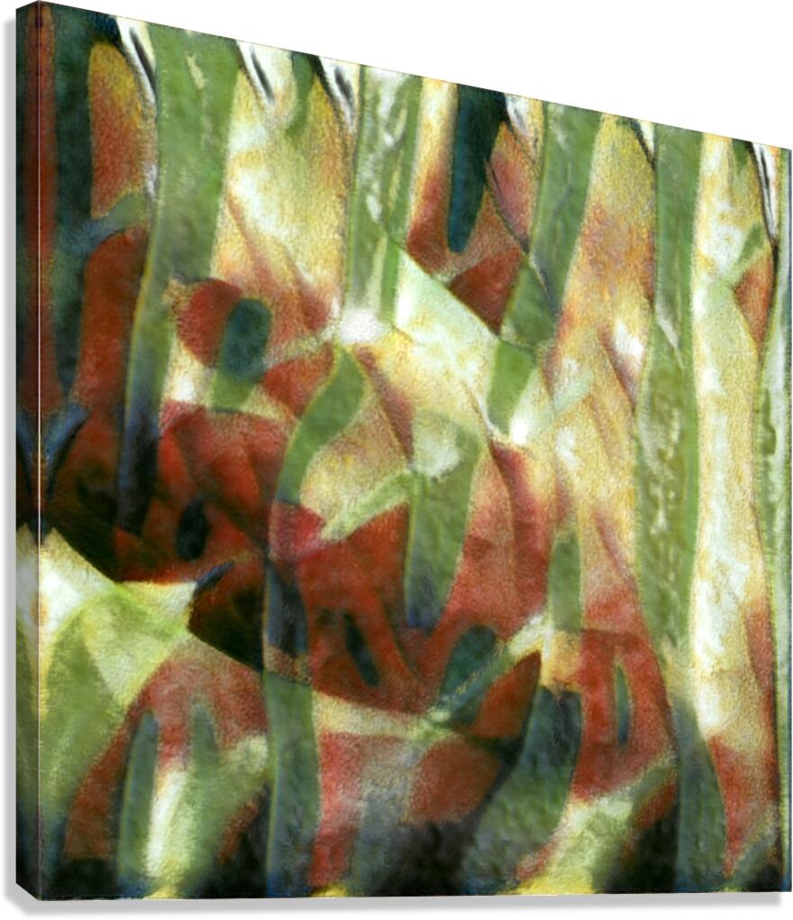 3981 8K Canvas Print