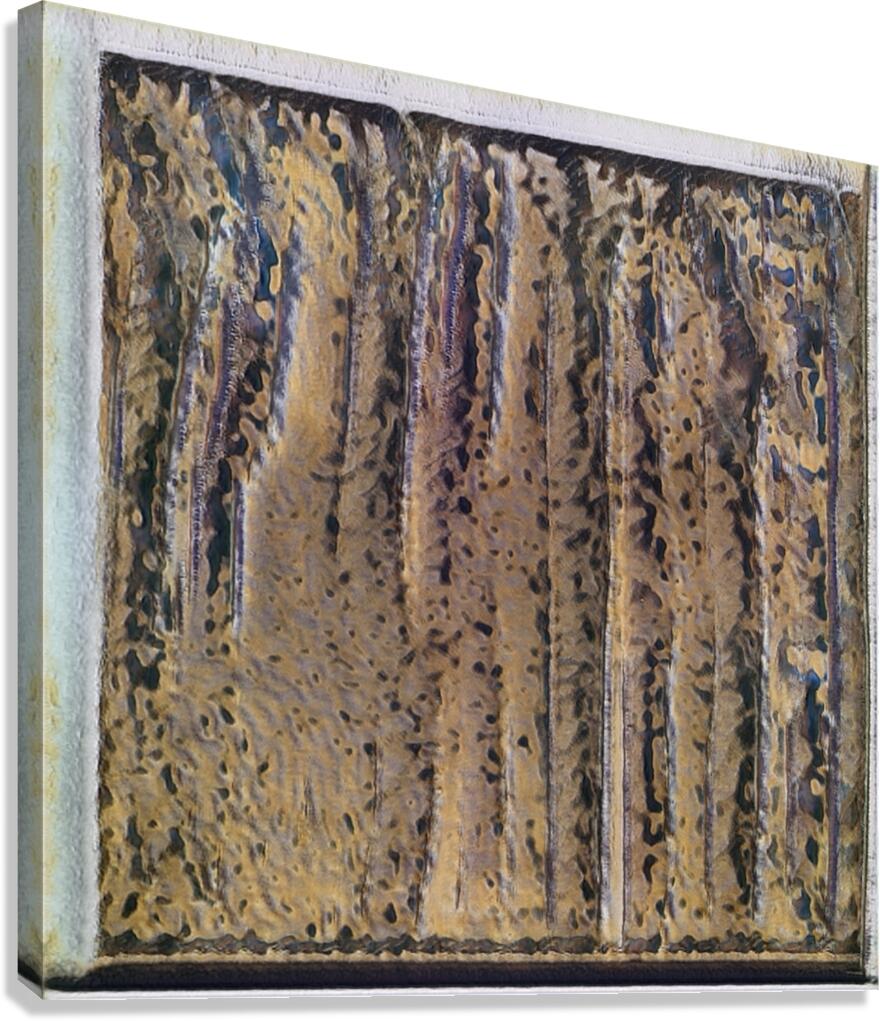 4008 8K Canvas Print