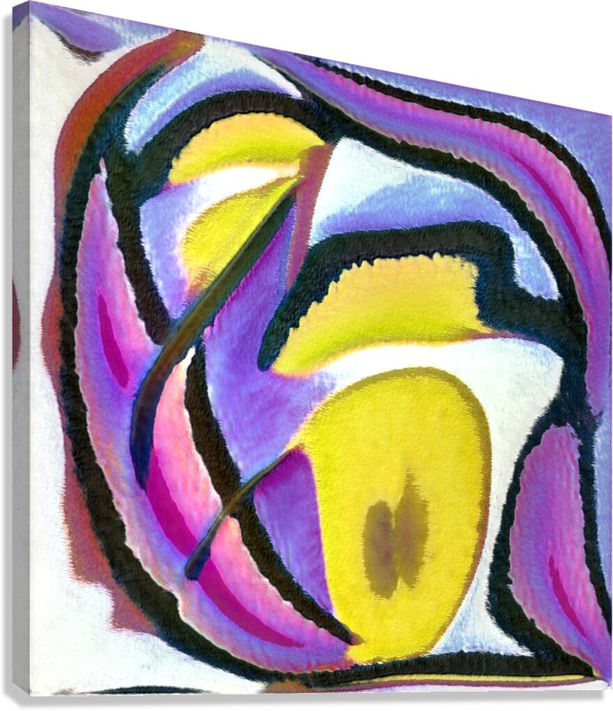 4029 8K Canvas Print