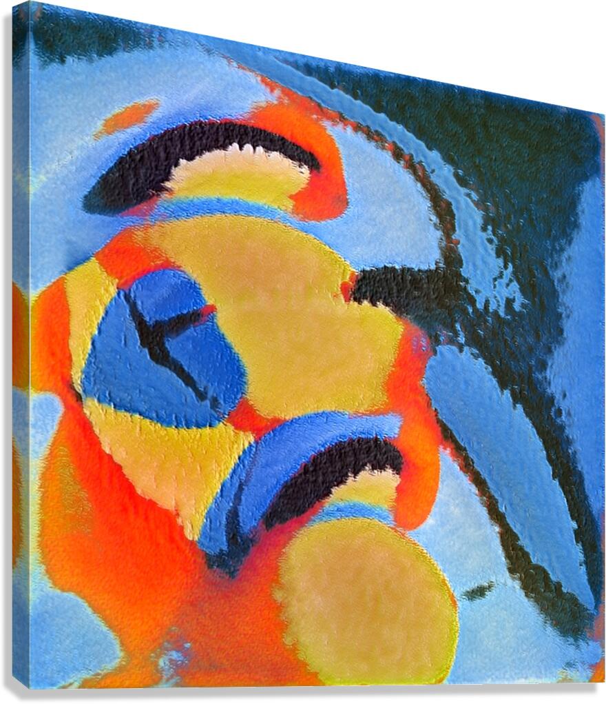 4020 8K Canvas Print