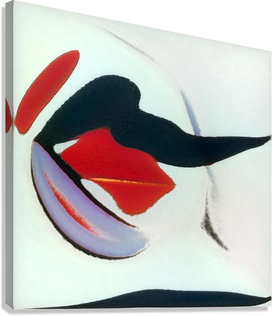 4095 8K Canvas Print