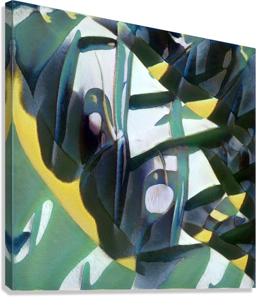 4081 8K Canvas Print