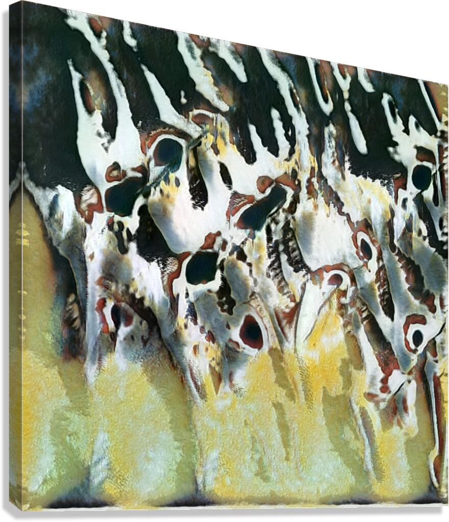 4129 8K Canvas Print