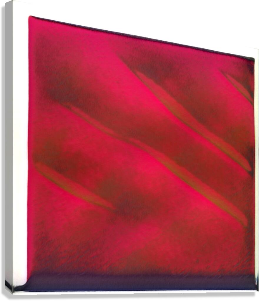 4133 8K Canvas Print